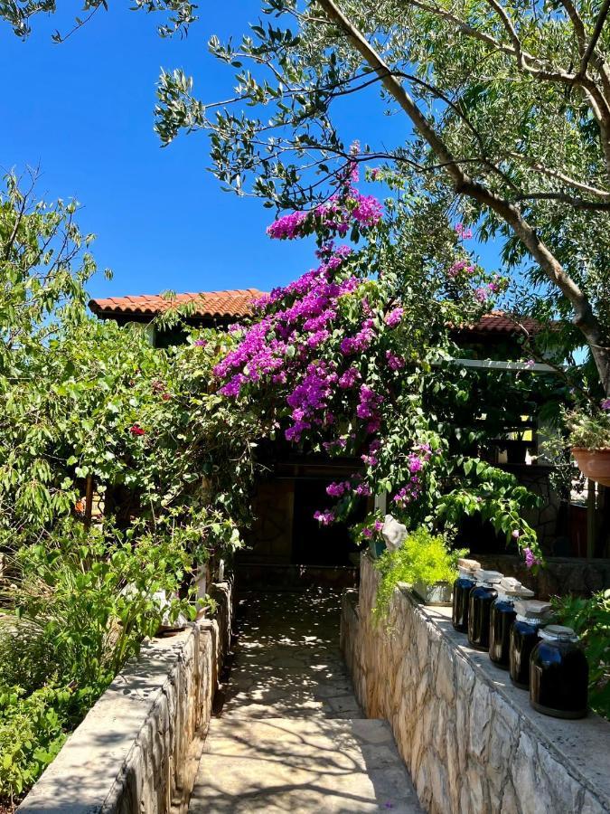 Gorana Apartman With Swimming Pool Apartamento Jelsa  Exterior foto
