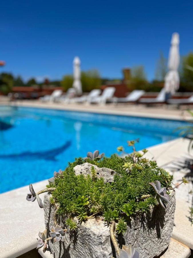 Gorana Apartman With Swimming Pool Apartamento Jelsa  Exterior foto